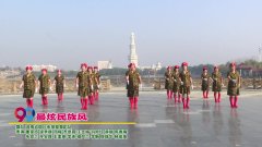 河南省周口市凤凰广场舞最炫民族风-团队演示