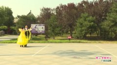 河南省信阳市体育舞蹈协会胡修友张丽慢三等候的心双人版