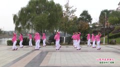桂林市灌阳县风雨桥广场舞心花开在草原上-团队演示