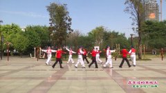 广西南宁市横县枝柳夕阳红队广场舞在东边的草地上-团队演示