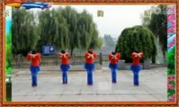 杭州千岛湖韵丽广场舞下雨天想你的天 编舞格格