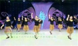 杨艺刘峰广场舞印度风情