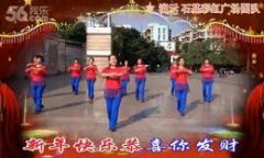 卢姨广场舞新年快乐歌 彩虹团队演示版