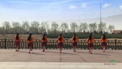 北京加州飞龙广场舞抛绣球-背面演示