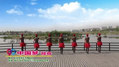 北京加州飞龙广场舞中国梦-背面演示