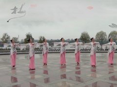 安徽悠然广场舞荣耀-团队演示