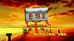 阿中中浙江桐乡梅锦广场舞如意东方-10人队形版