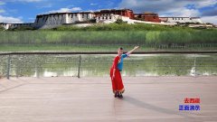 陕西凤舞飞天广场舞去西藏-单人演示