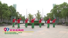 武汉汉阳区百卉广场舞又见北风吹-团队演示