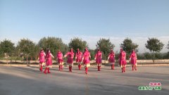 武汉新洲和平广场舞想西藏.-团队演示