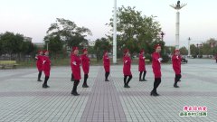 河南省周口市郸城县艺佳乐腰鼓队广场舞舞出你的爱-团队演示