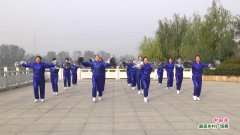 河南省项城市海英广场舞中国范-团队演示