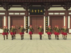 河南省洛阳市幸福天天广场舞中国梦-团队演示