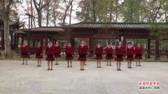 广西桂林市灌阳县水车镇德里开心队广场舞走进阿西里西-团队演示