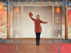 田益珍广场舞黄梅戏-个人教学版