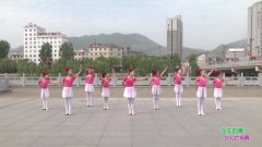 陕西田益珍丹凤舞蹈培训中心广场舞今生的唯一-团队演示