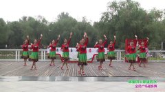 郑州市高新区通和社区舞蹈团1队广场舞那里的山那里的水-团队演示