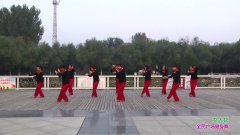 郑州市最美二队广场舞女人花-团队演示