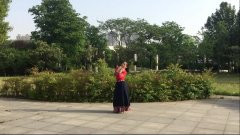 河南郑州竹子广场舞天边的情歌-单人演示