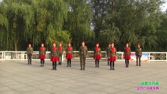 郑州市玫瑰金舞蹈8队广场舞我要去西藏-团队演示