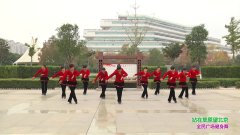 新乡市燕姿广场舞站在草原望北京-团队演示
