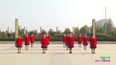 新乡燕子广场舞跳到北京-团队演示