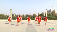 新乡青春广场舞舞动中国-团队演示