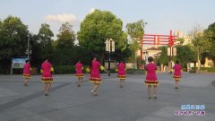 武汉欣欣广场舞就是让你美-团队演示