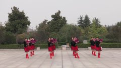 河南南召银河广场舞跳到北京-团队演示