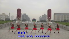 北京灵子广场舞礼让斑马线-团队演示