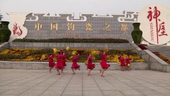 河南禹州市顺南微笑玫瑰广场舞跳到北京-团队演示