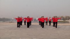 商丘市炫丽广场舞中国广场舞-团队演示
