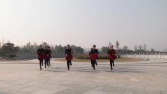 商丘市霞飞广场舞跳到北京-团队演示
