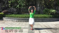 深圳龙华区珍珍健身舞蹈队广场舞安全梦-单人演示