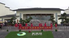 湖北黄梅艳艳广场舞亲吻西藏-团队演示