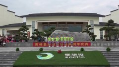 湖北黄梅艳艳广场舞哎哟我的妹-团队演示