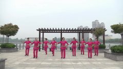 江苏省盐城市海滨县新时代广场舞又见山里红-团队演示