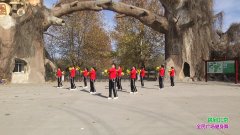 延津县美女广场舞跳到北京-团队演示