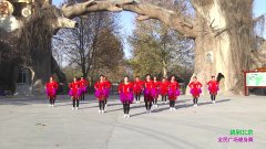 延津县榆林乡枣园村清华广场舞跳到北京-团队演示