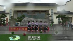 湖北黄梅艳艳广场舞红河谷-团队演示