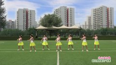 北京加州飞龙广场舞礼让斑马线正背-团队演示