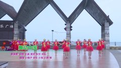 海南省海口市旗舞广场舞舞动中国-团队演示