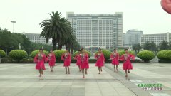 东莞长安健康快乐广场舞我爱的姑娘在草原-团队演示