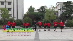 武汉市新洲区汪集安仁村第一广场舞你是我今生难忘的梦-团队演示