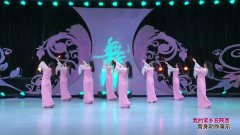陕西田益珍广场舞明星队广场舞我的家乡在陕西（背身）-团队演示