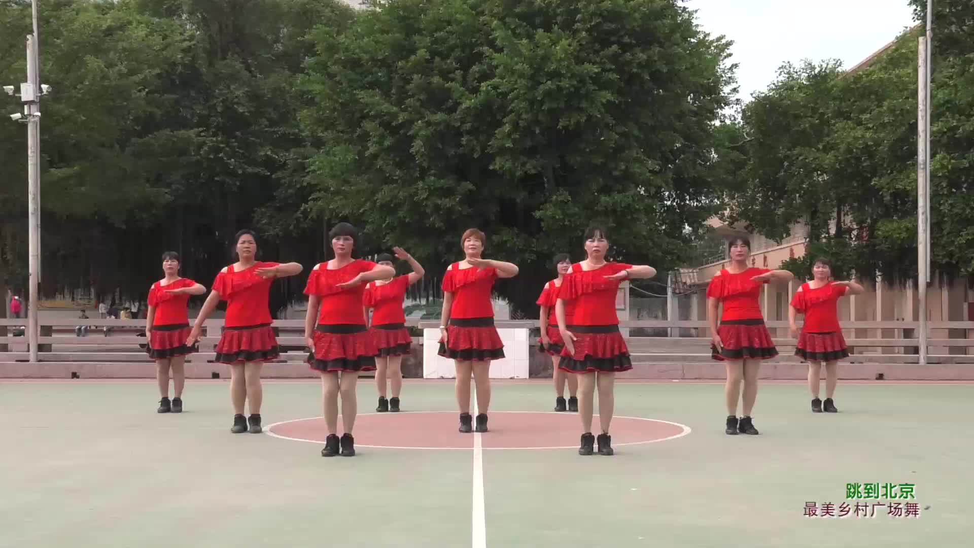 广东省湛江市坡头区坡头镇��城广场舞跳到北京-团队演示