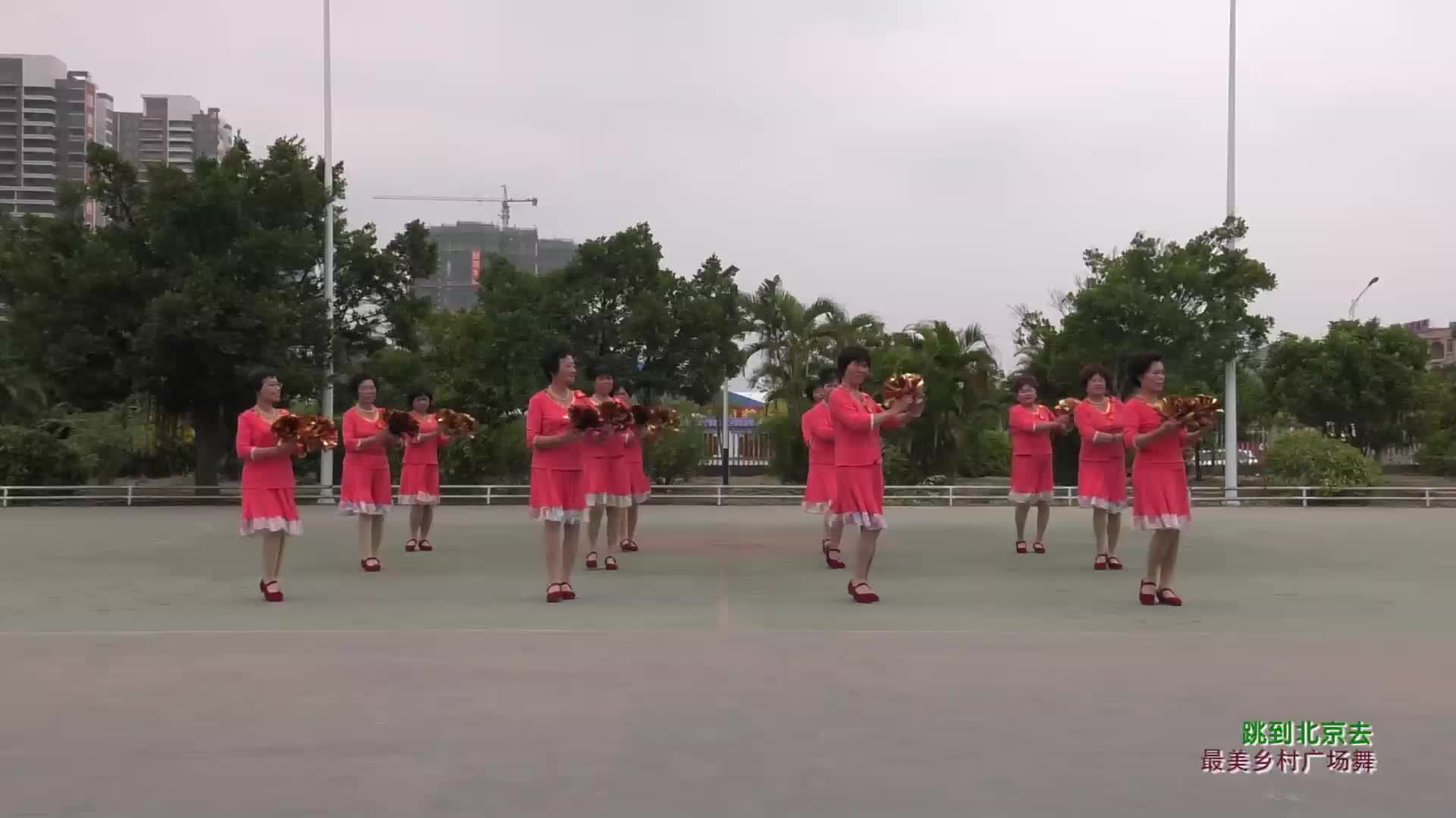 广东省廉江市百合广场舞跳到北京去-团队演示