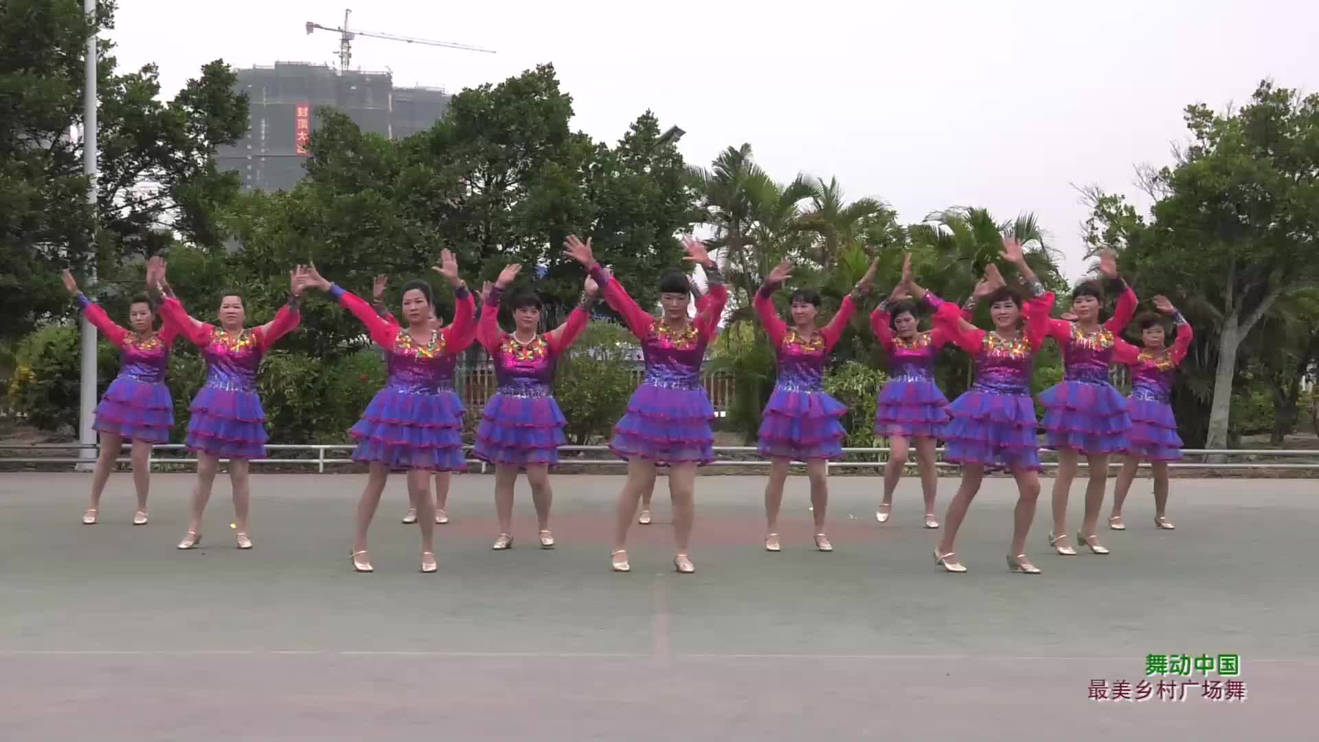 广东省廉江市上县新村广场舞舞动中国-团队演示
