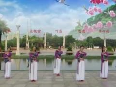 广西柳州彩虹广场舞来生愿做一朵莲-编舞贺月秋