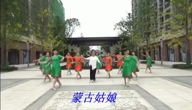 湖南岳化舞之韵广场舞蒙古姑娘-团队演示